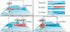 El Nino, La Nina El Nino, La Nina