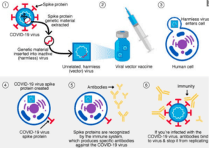 Covid 19, Spike Protein, UPSC, Current Affairs